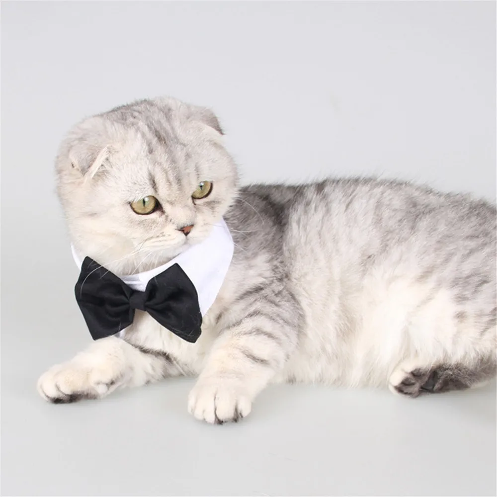 

Cat Necktie Bows Tuxedo Collar Dog Bow Tie Adjustable Puppy Bow Tie Tux Collar for Small Pets Weddings Birthday Party Accessory