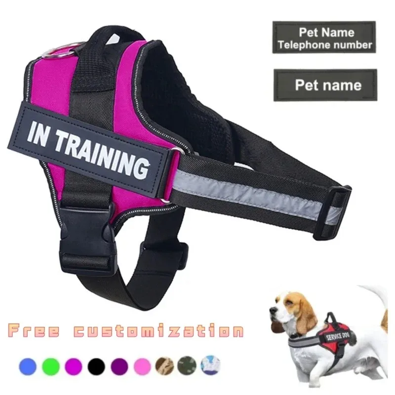 Personalized Reflective No-Pull Dog Harness 1