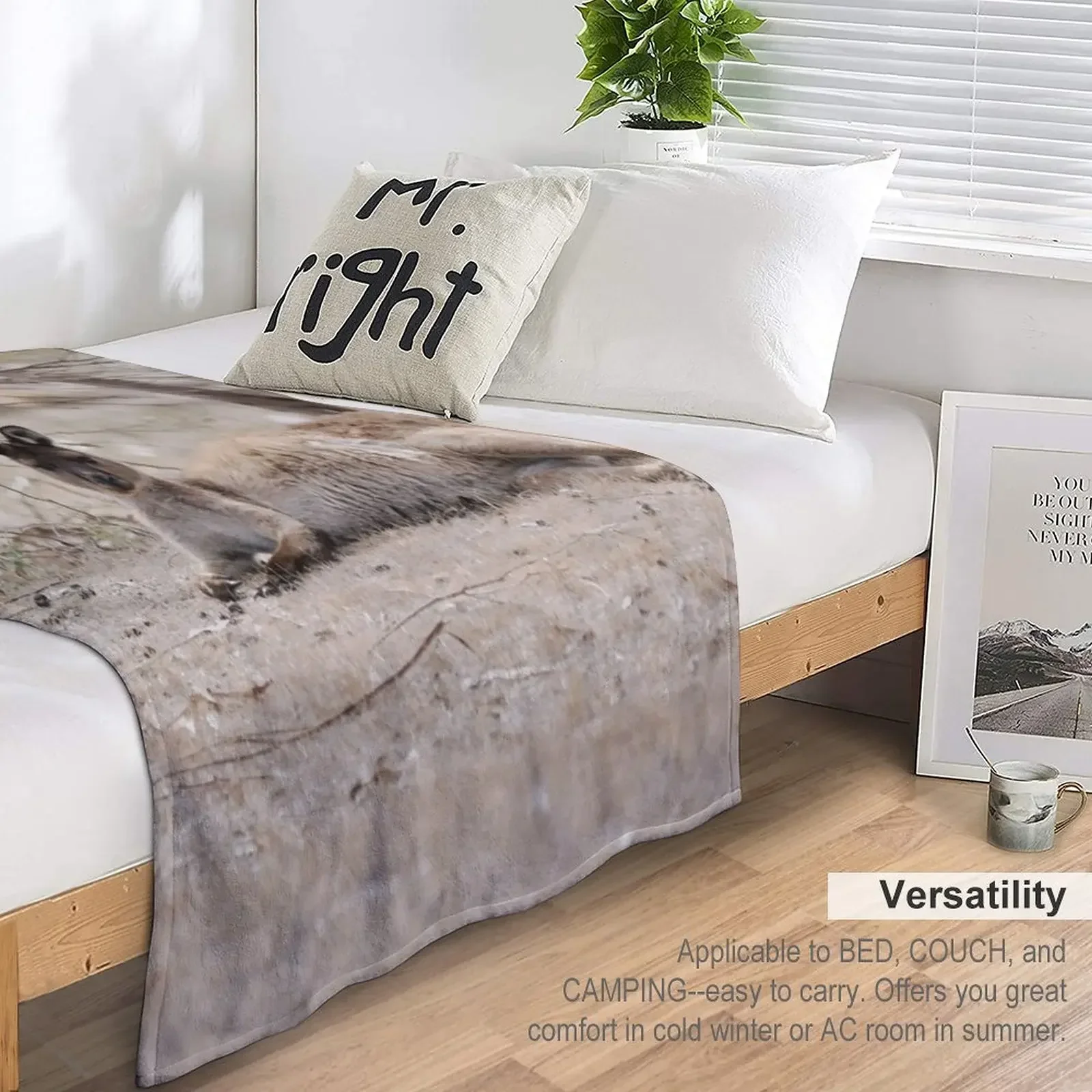 �߻� Ļ�ŷ� ������ ���, �ʴ��� ������ ��, ���� �̺� ���