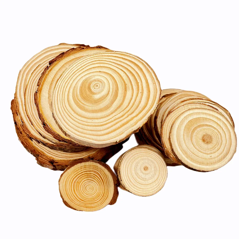 Description Picture 3 of item1PC-Bark Wood Slices multi-size Disc Coasters Pieces kit Circles Crafts Ornaments DIY Crafts