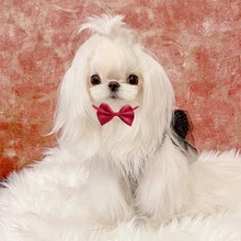 New Year Cat Dog Collar Dog Accessories Cats Dog Bow Tie Adjustable Neck Strap Cat Dog Grooming Accessories Puppy Cat Necklace