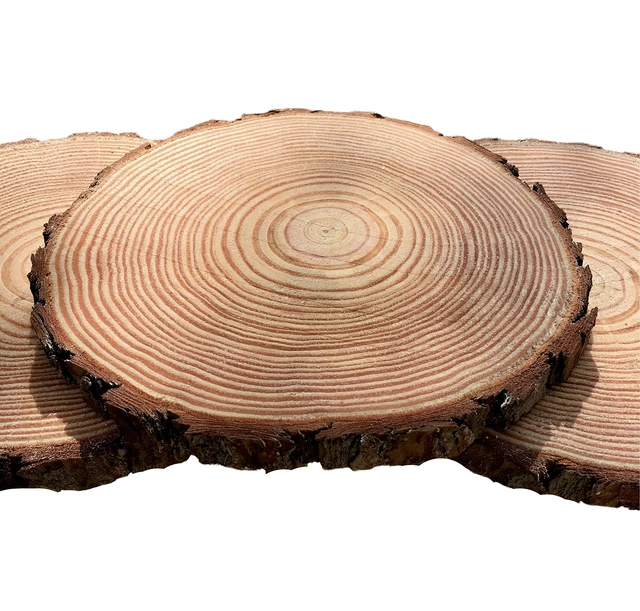 Log Of Wood Natural Round Slice Tree Bark Discs Cake Rustic Wooden