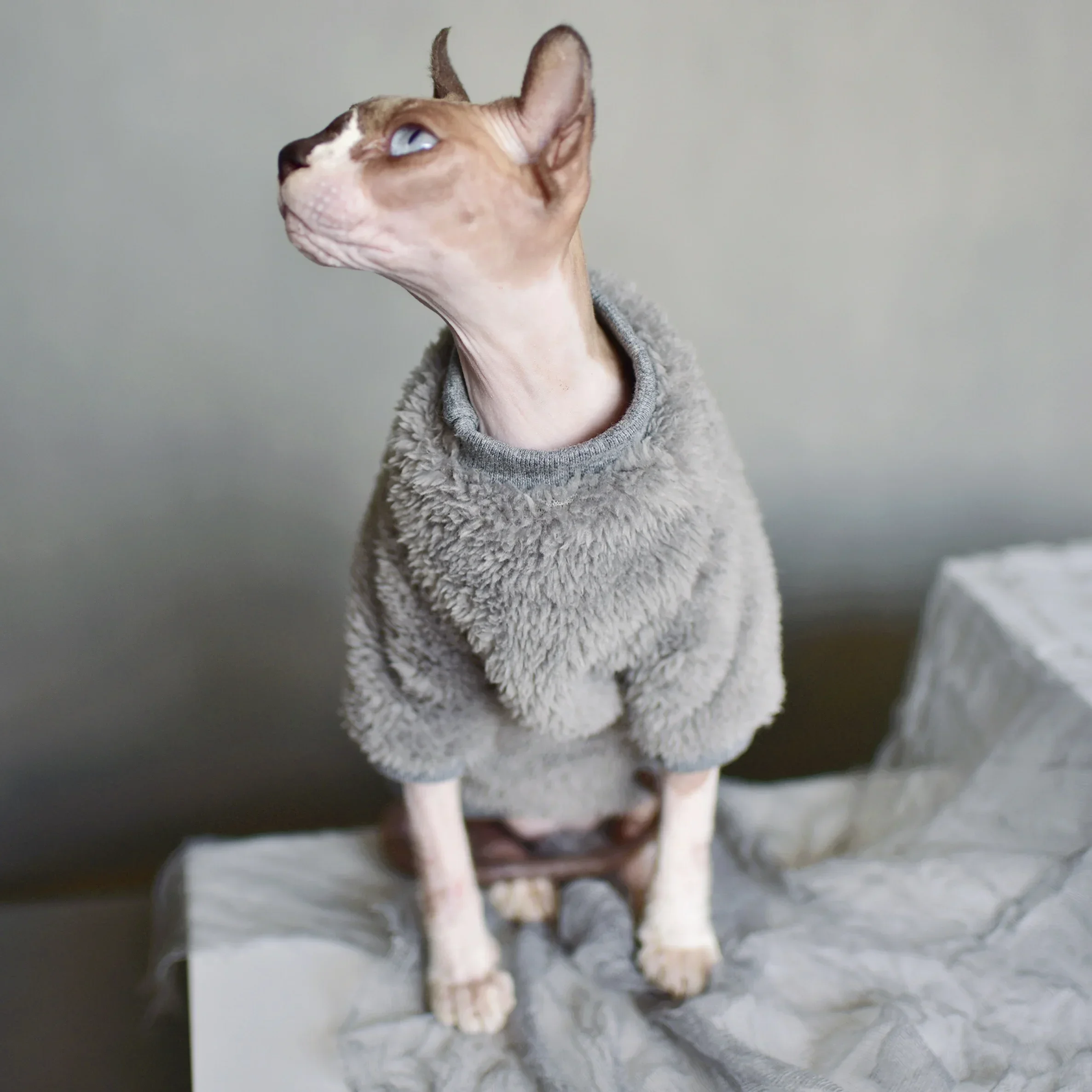 Duo MASUMI Katzen-Kapuzenpullover Für Haarlose Katzen – Warmes Fleece, Größe XL, 100% Baumwolle