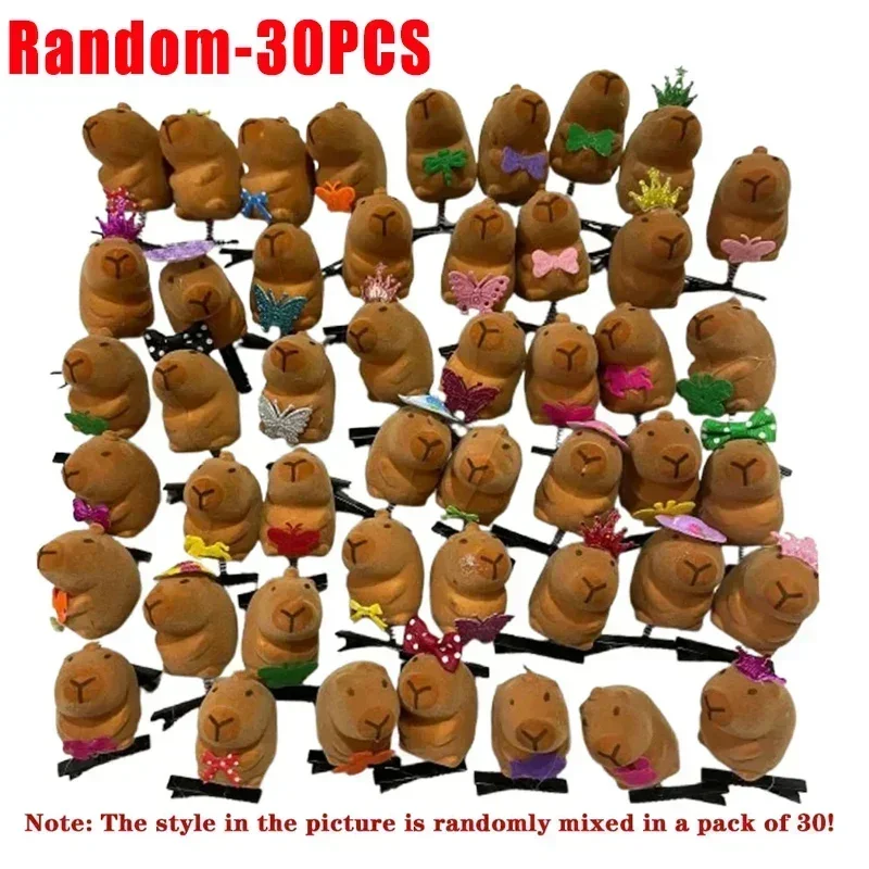 Random-30PCS
