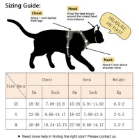 Angel Wings Pet Harness and Leash Set for Cats Puppy Rabbit Cute Cat Harnesses Kitten Accessories artículos para mascotas Lead 2