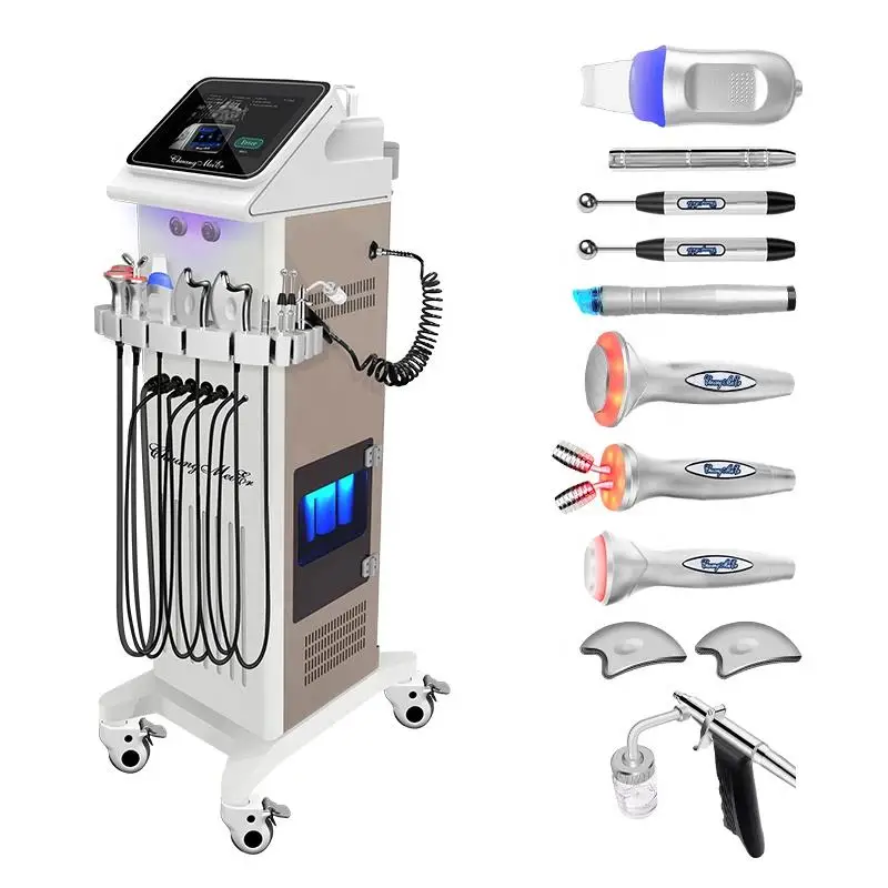 ProfessionalMultiFunctional9in1BioLiftingAirbrushHydroFacial