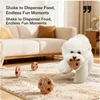 Interactive Chew Toy for Dogs Puppy Teeth Cleaning Molar Bite Resistant Food Dispensing Training Toy for Medium Dogs 3