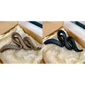 2 pcs set2