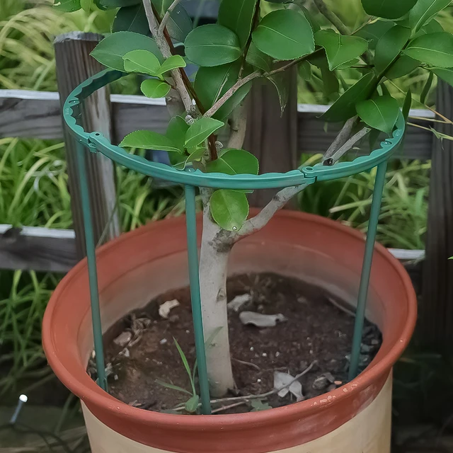 Plastic Plant Support Pile Garden Semi-circular Frame Stand Climb for Flowers Growing Balcony Flower Cage Holder Garden Supplies 4