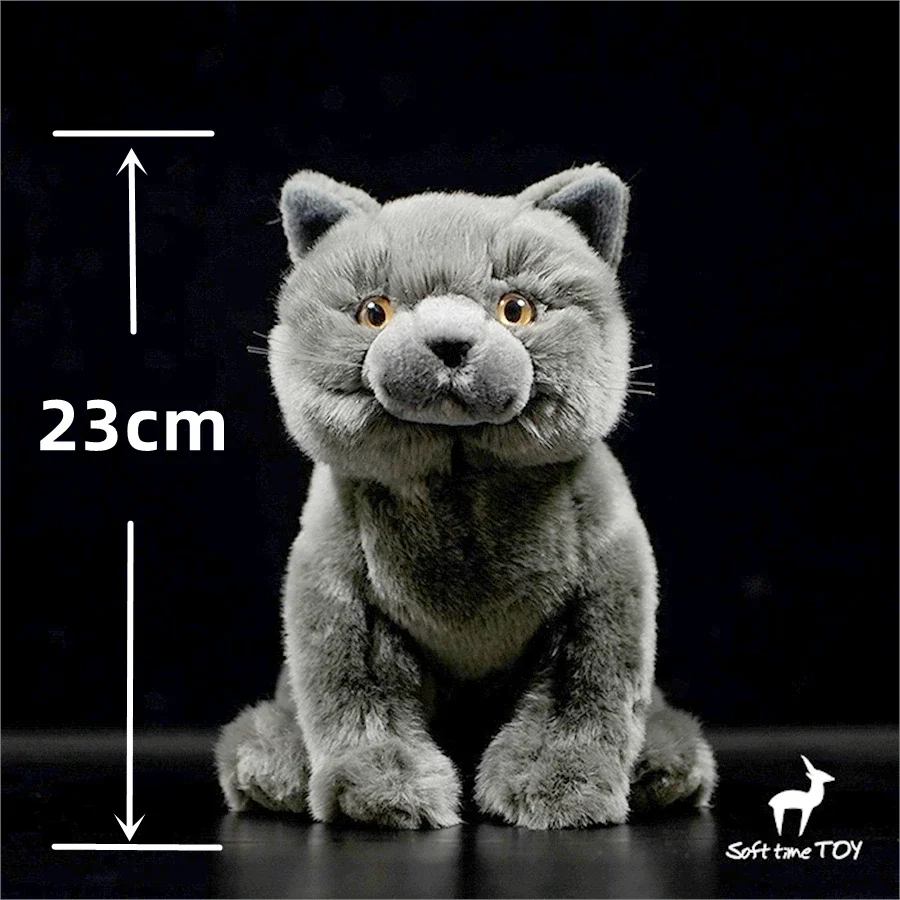 British Shorthair Blue Cat Plush Toy High Fidelity Cats Plushie Felinae Peluche Lifelike Simulation Stuffed Animals Doll Kids 3