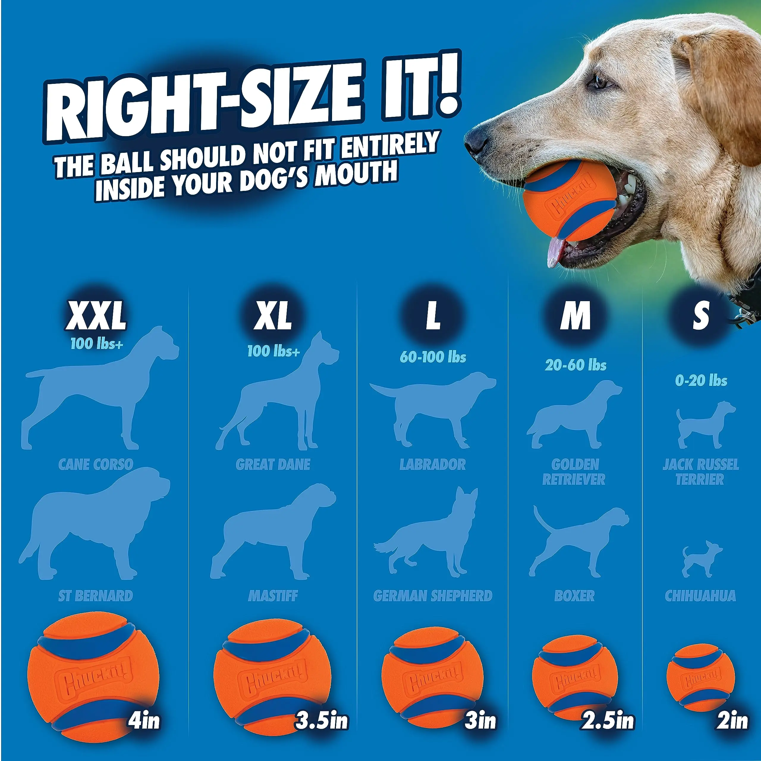 Chuckit Sport 18M Dog Ball Launcher, 18" Length, Includes Medium Ball (2.5") For Dogs 20-60 Pounds 5