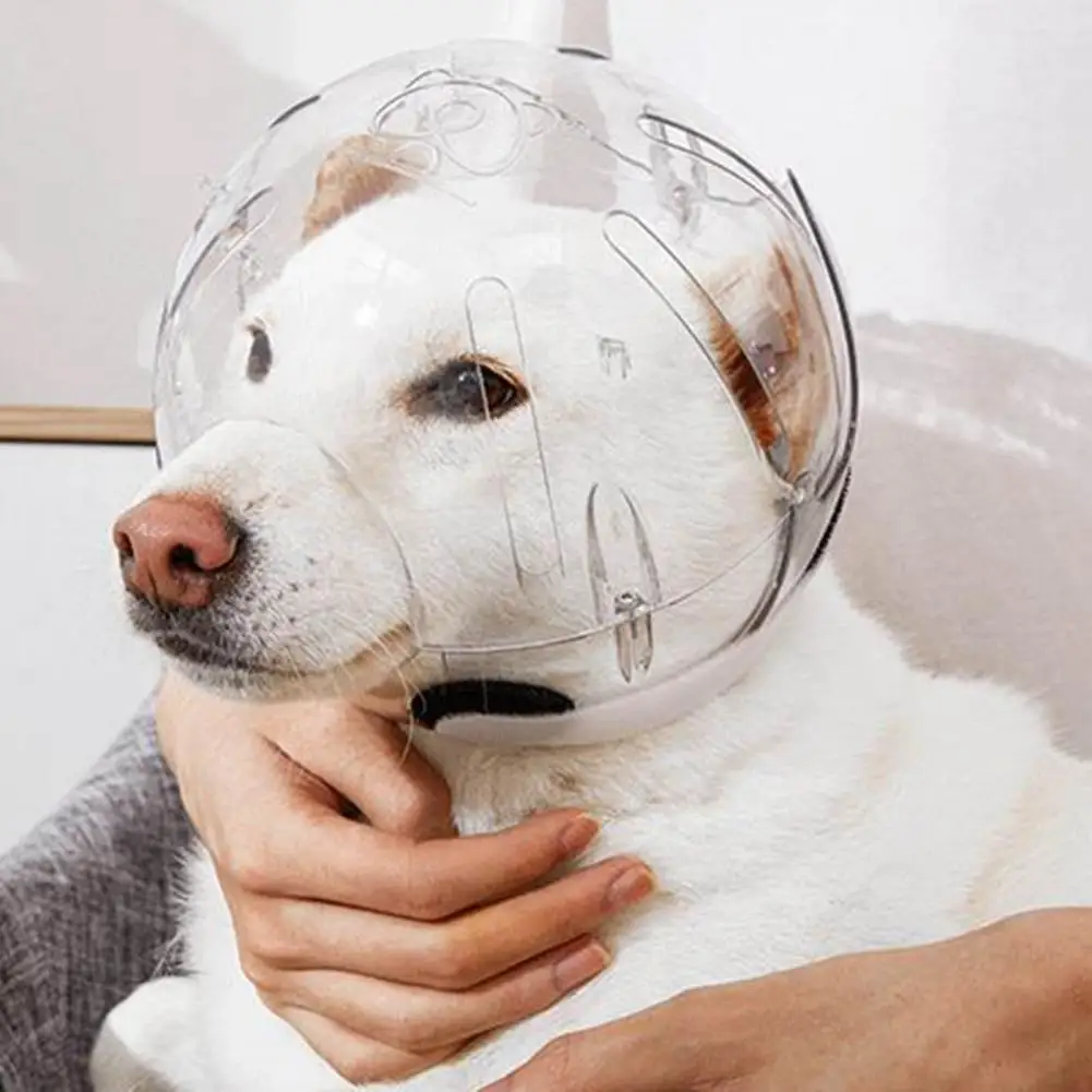 

Secure Fastener Tape Pet Helmet Anti-bite Pet Helmet Adjustable Pet Muzzle Breathable Cat Dog Helmet for Cats for Pet