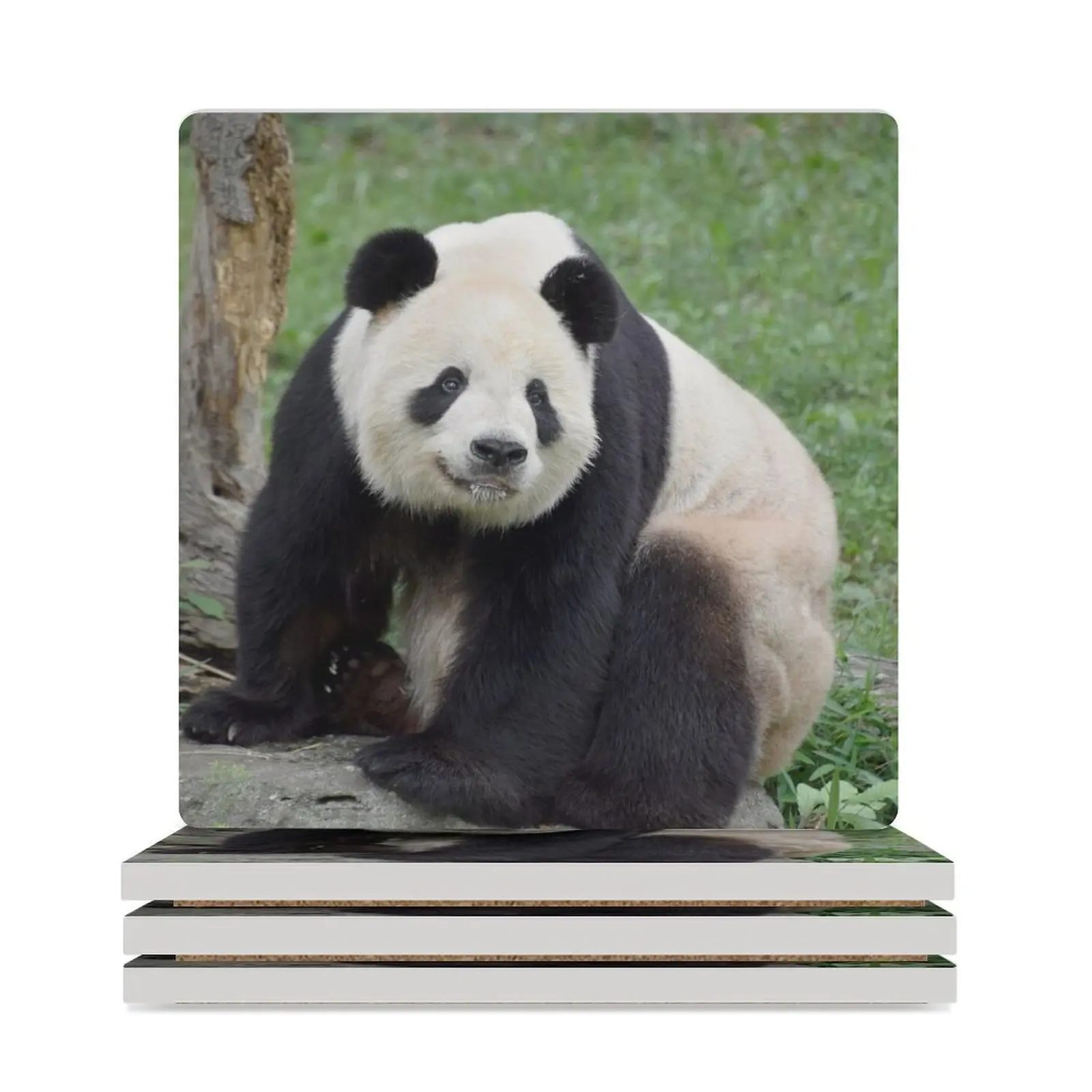 

Giant Panda Tian Tian at the National Zoo Ceramic Coasters (Square) ceramic cup set Tea cups for table Coasters