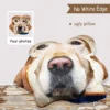 Custom Ugly Pillow for Friend or Pet, Funny Custom Dog Weird Pillow Case，Turn Cat Into Pillow，Custom 3d Animal Shape Pillows 2