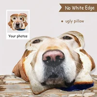Custom Ugly Pillow for Friend or Pet, Funny Custom Dog Weird Pillow Case，Turn Cat Into Pillow，Custom 3d Animal Shape Pillows 2