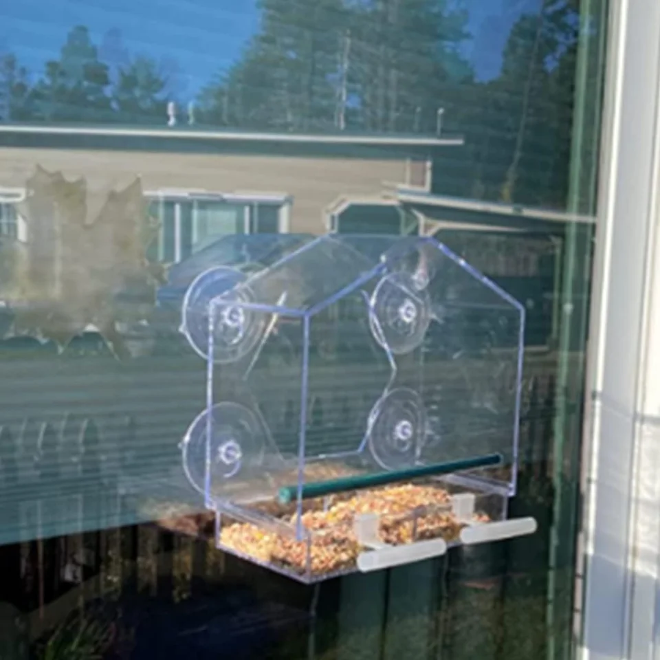 Comedero Transparente Para Pájaros Para Ventana, Con | Cuotas Sin Interés