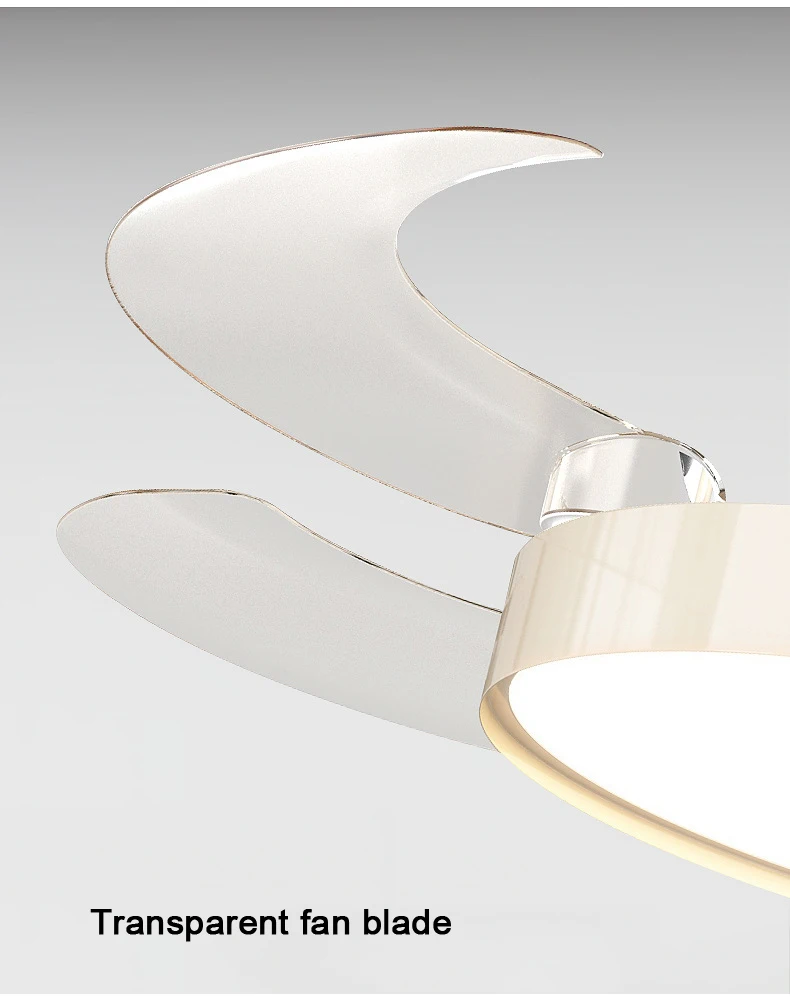 Modern Ceiling Fan With Light