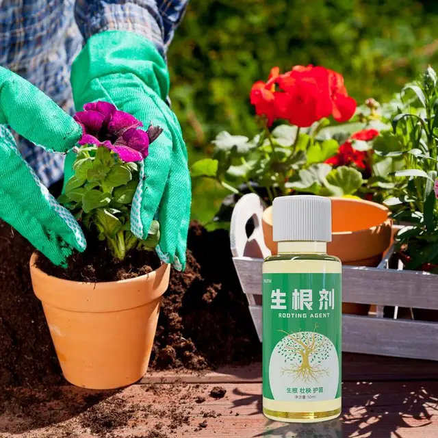 50 Ml Gyors Cserepes Gyökérzetű Tápanyaghormonok Fokozó Keverék Gyökér Stimulátor Kiegészítő Műtrágya Kültéri Szobanövényekhez