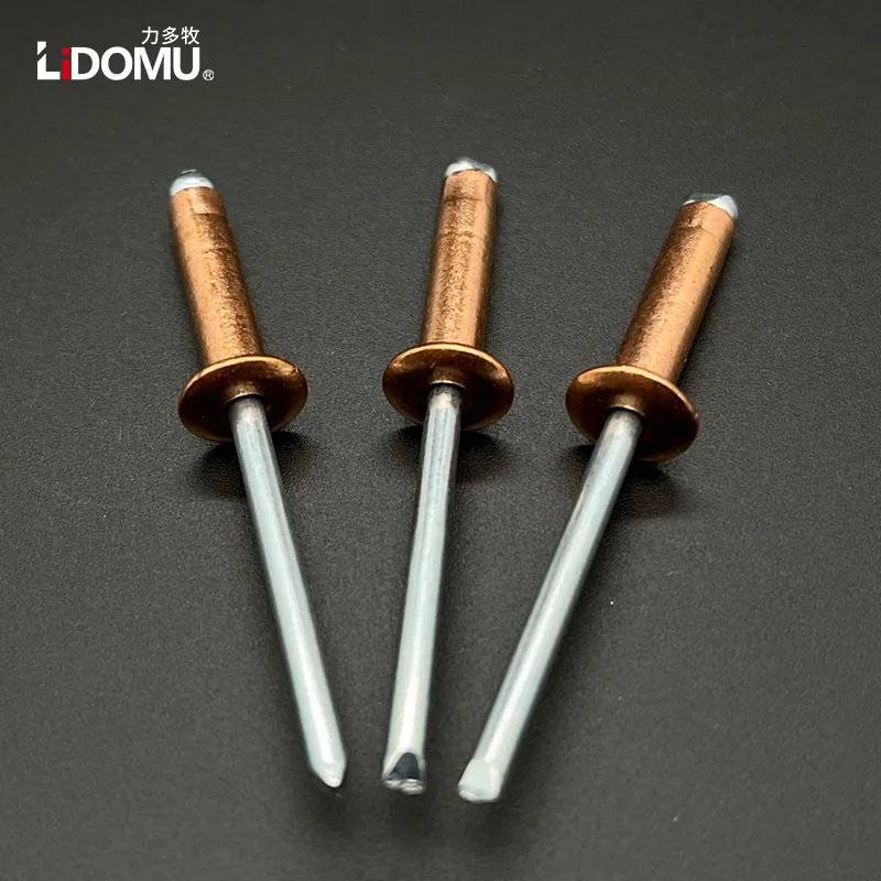 30/50pcs Copper Blind Rivet rivets and fasteners rivets and screws Dome Head Open Type Anticorrosive Bronze Brass Rivets