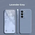 Lavender Grey