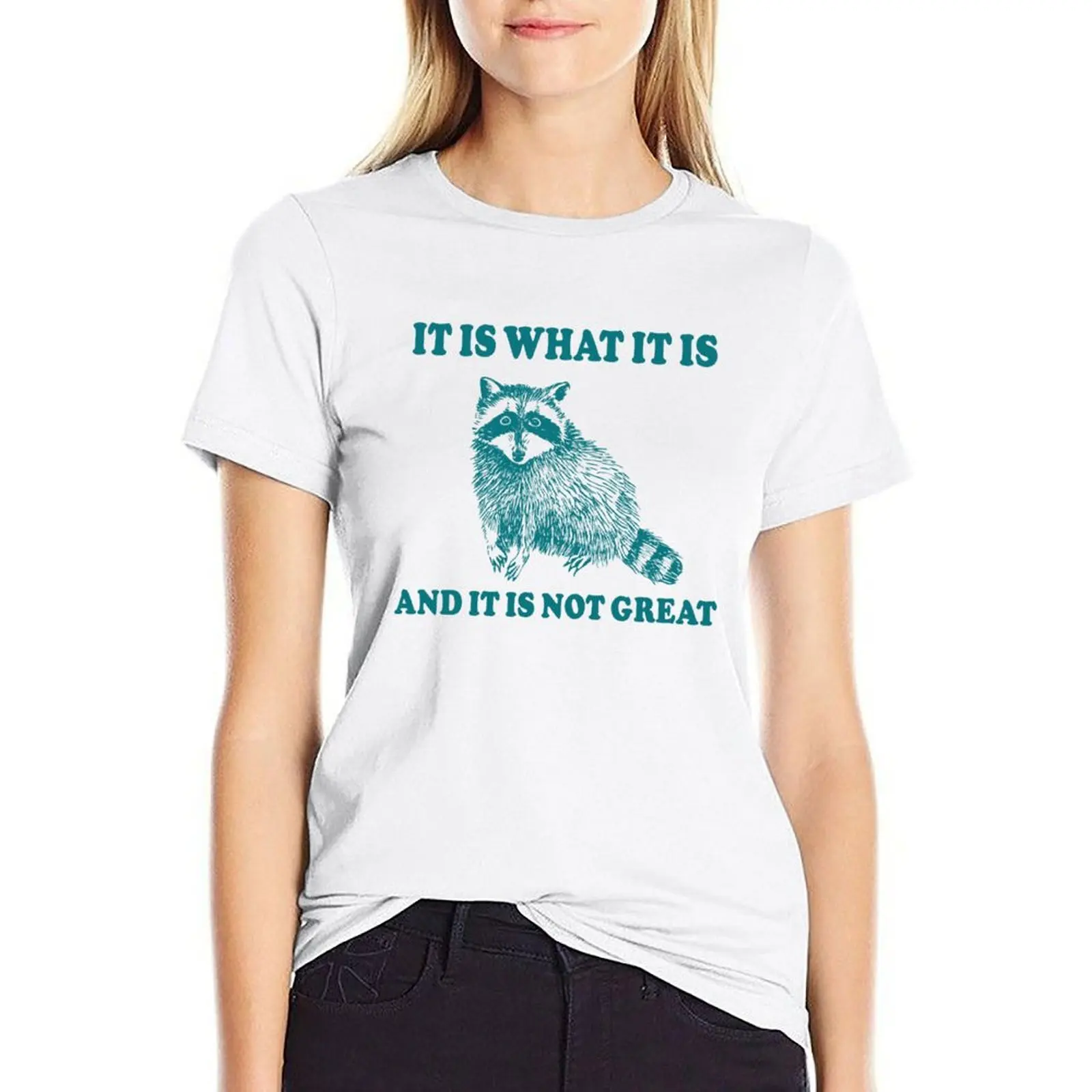 

It Is What It is And It is Not Great Raccoon Meme T-shirt korean fashion funny tops for Women