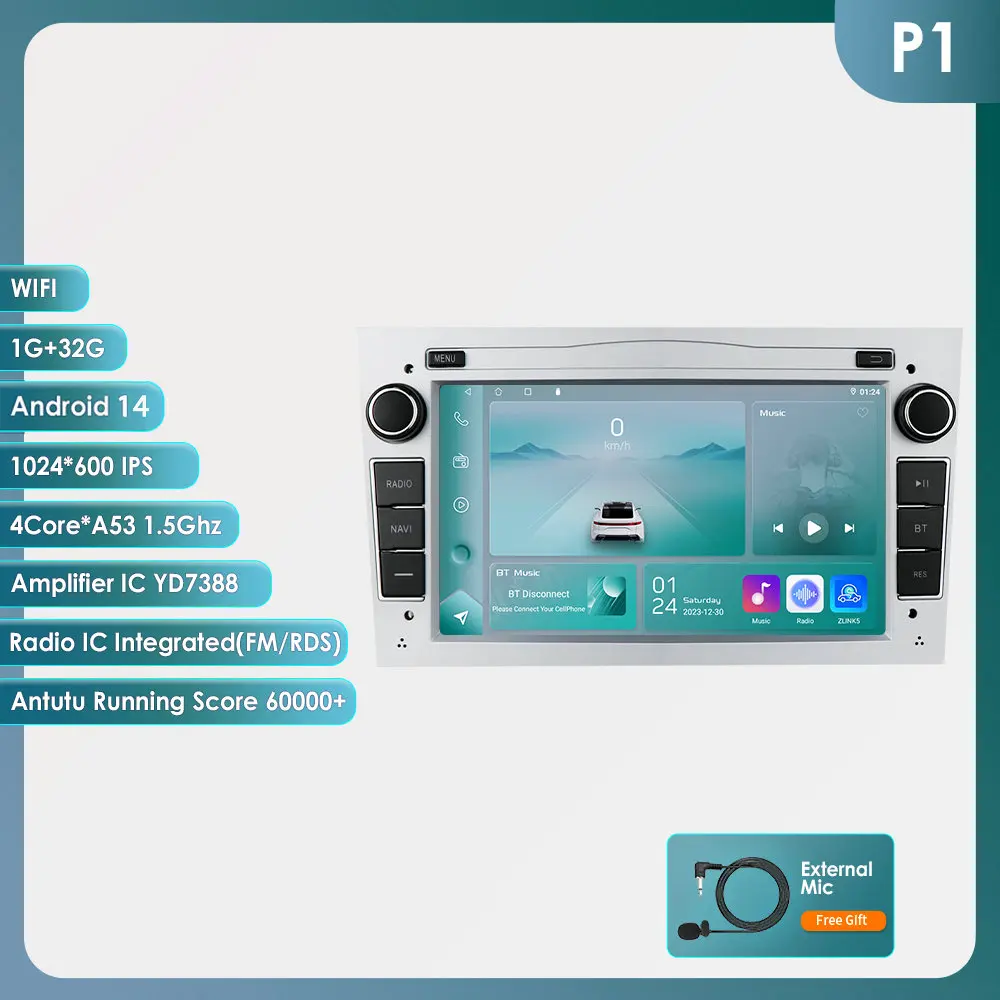 P1 (4Core 1G 32G) S