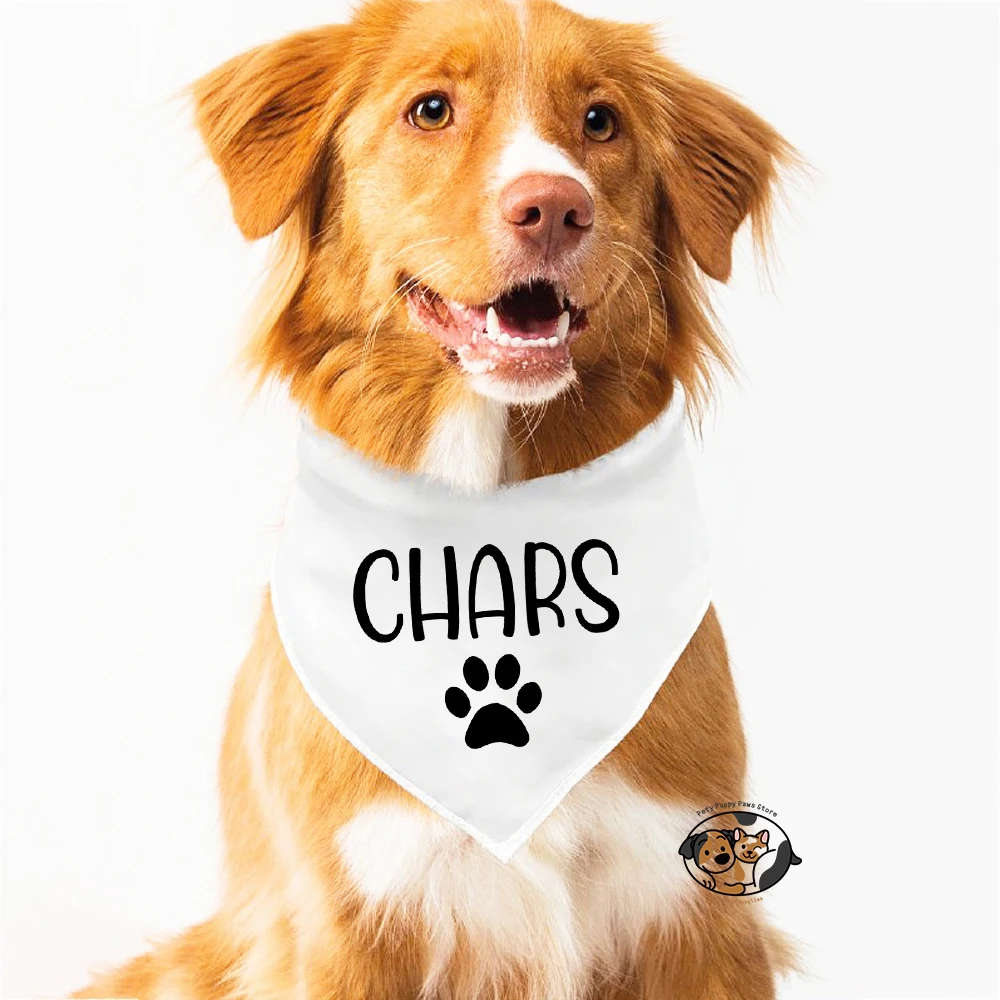 Personalized bandana - Image 2