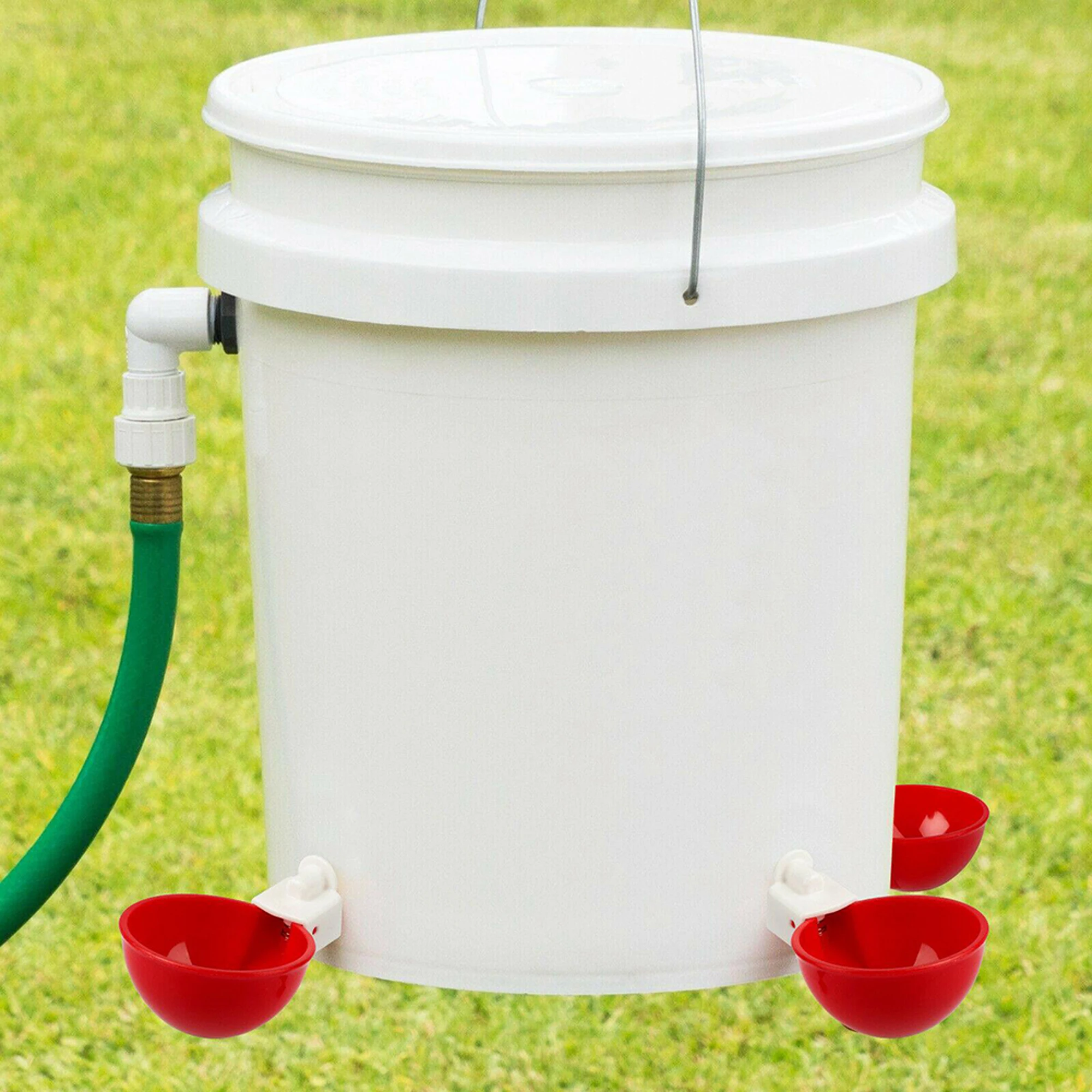 Poultry Automatic Drinking Water Feeding Cup Drinking Fountain Chicken Quail Drinker Cup Farm Poultry Feeding Supplies