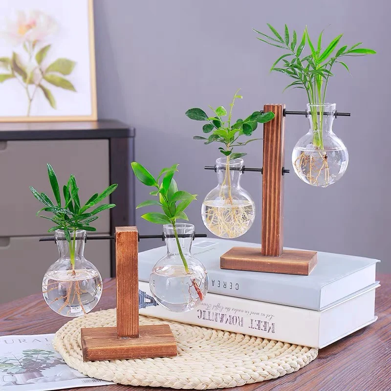 Glass Desktop Planter with Wooden Stand for Home Decor