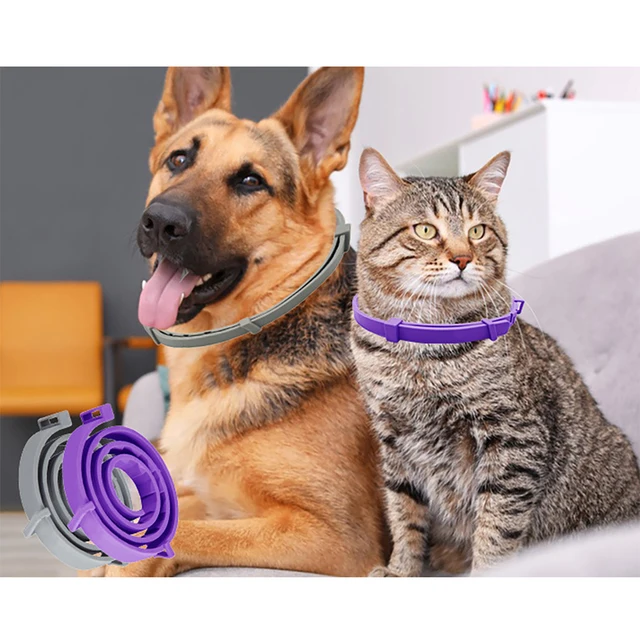Cat Relaxivet Collar Kitty Calming Collar 4PCS/pack Pet Calming