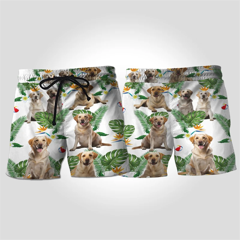 

Cute Labrador 3D Printed Hawaiian Beach Shorts For Men Clothes Casual Dog Hunting Short Pants Pet Dogs Trunks Vacation Trousers