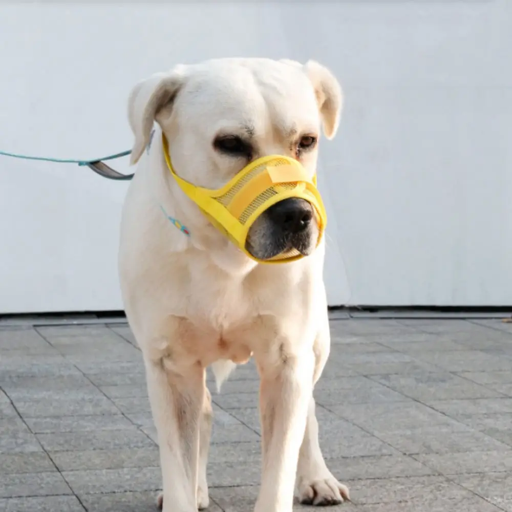 Practical Adjustable Anti Barking Dog Muzzle Breathable Mesh Pet Mouth Muzzles Soft Dog Mouth Cover Prevent Crowing