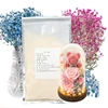 500g Herbarium Moisture Absorbers Reusable Silica Gel Sand Desiccant Reuse Fit Flower Drying DIY Craft Supplies Household 5