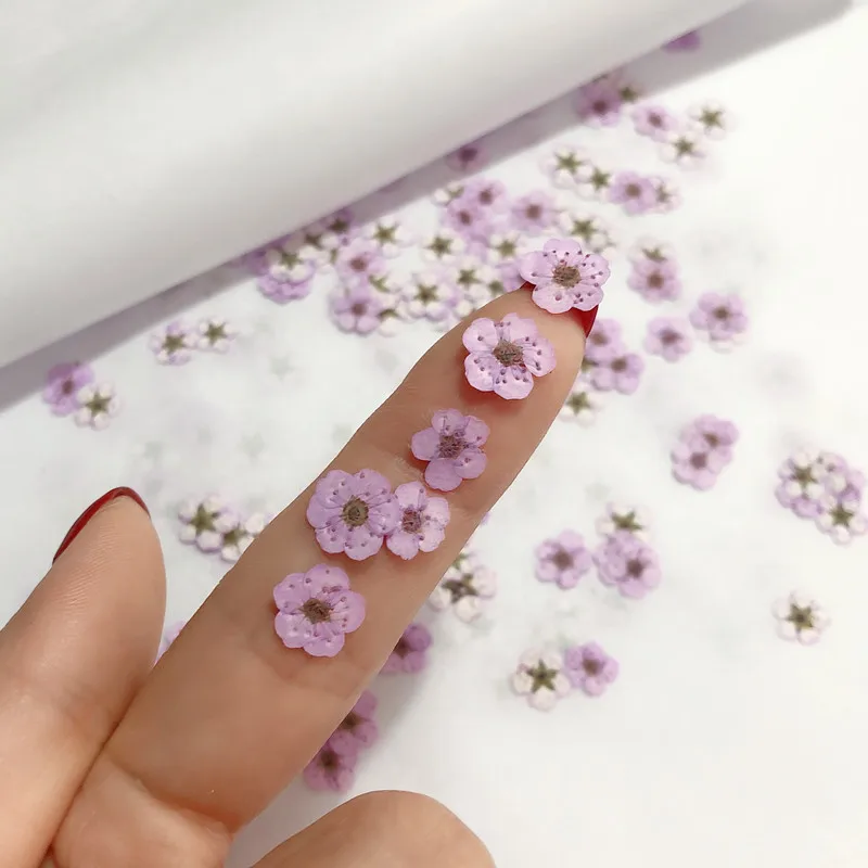 Tiny Dried Purple Flowers for Resin Jewelry Small Dried Flowers