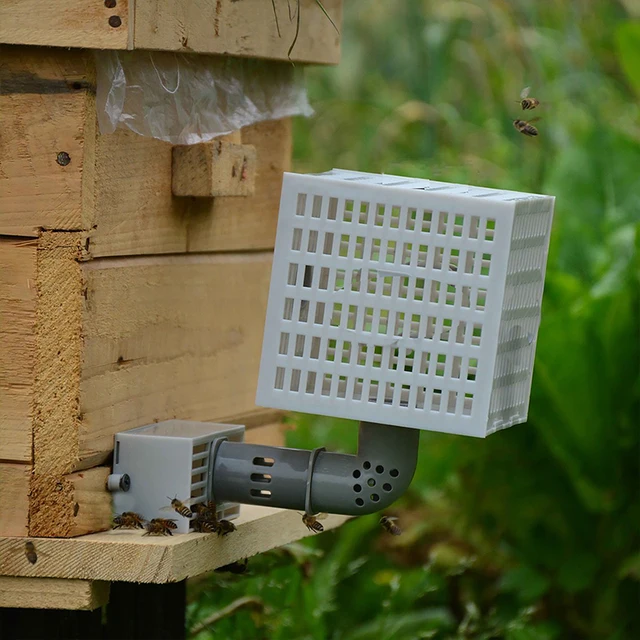 1 db Automatikus Méh Elválasztó Megakadályozza A Méhek Menekülését - Image 6