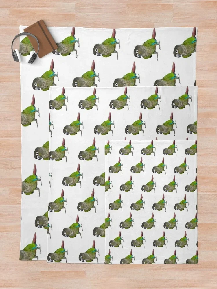 ��� �� Conure ������ ���, �ܿ� ħ��, �ö��� ����, ���Ÿ� ������ ���