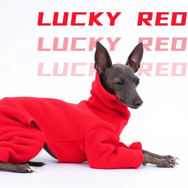 Italian Greyhound Hoodie Dog Clothes Super Warm Whippet Winter Jacket Four Legged Thick Dog Coat Fleece Warm Greyhound Clothes 4