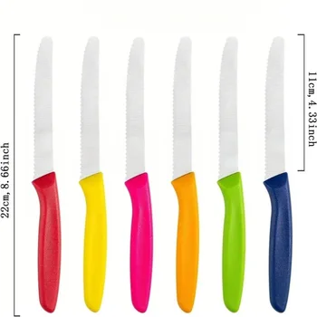 Coltello da bistecca in stile occidentale, materiale in acciaio inossidabile Coltello da frutta affilato e utile, coltello da pane. Coltello da chef 1