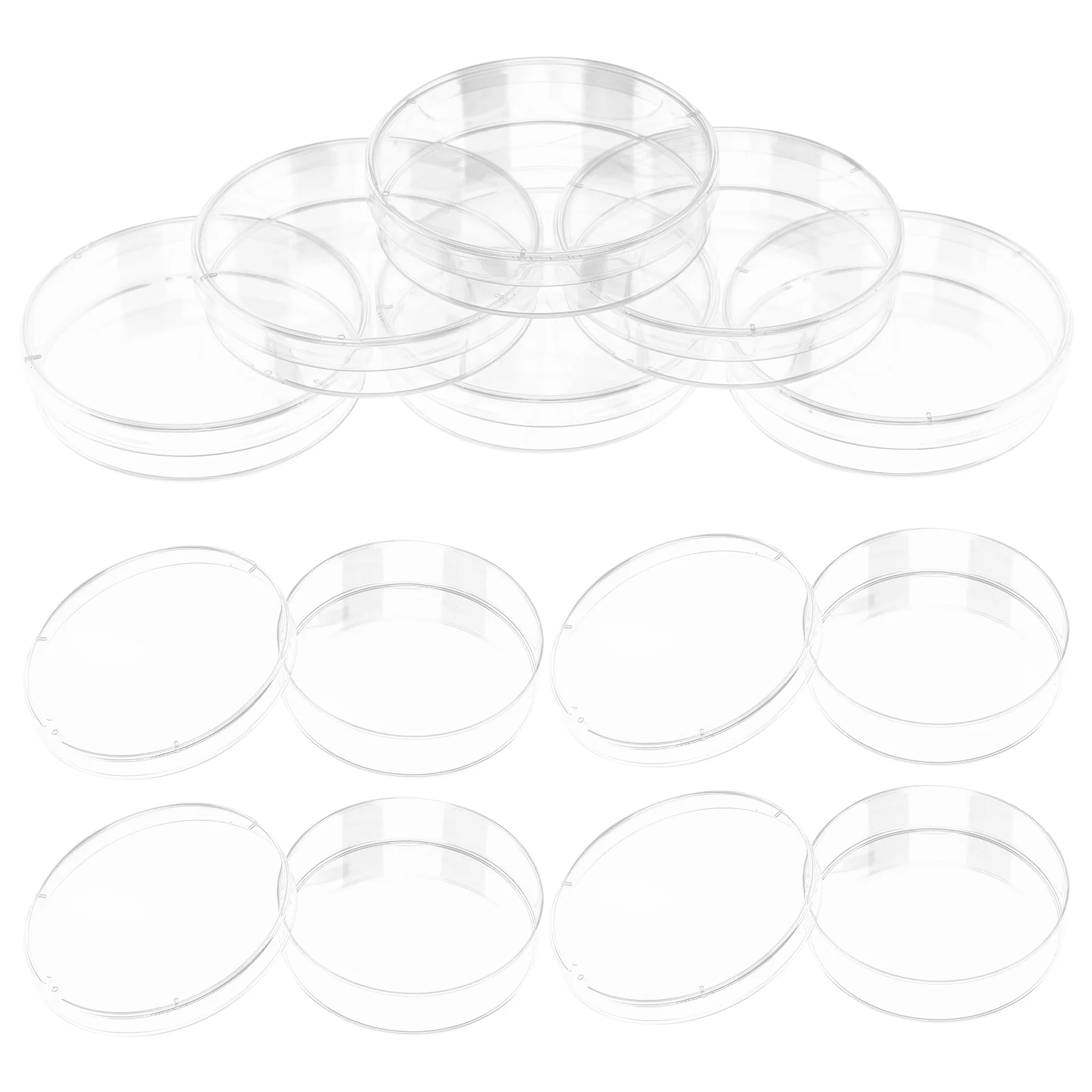 

30pcs Clear Petri Dish Science Laboratory Petri Dishes Tissue Culture Dish
