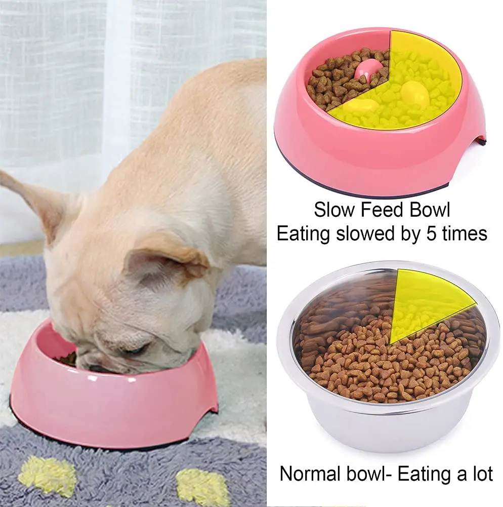 1 Slow Feeder Dog Bowl Anti Bloat No Gulp Puppy Pet Cat Interactive Feeding  Bowl