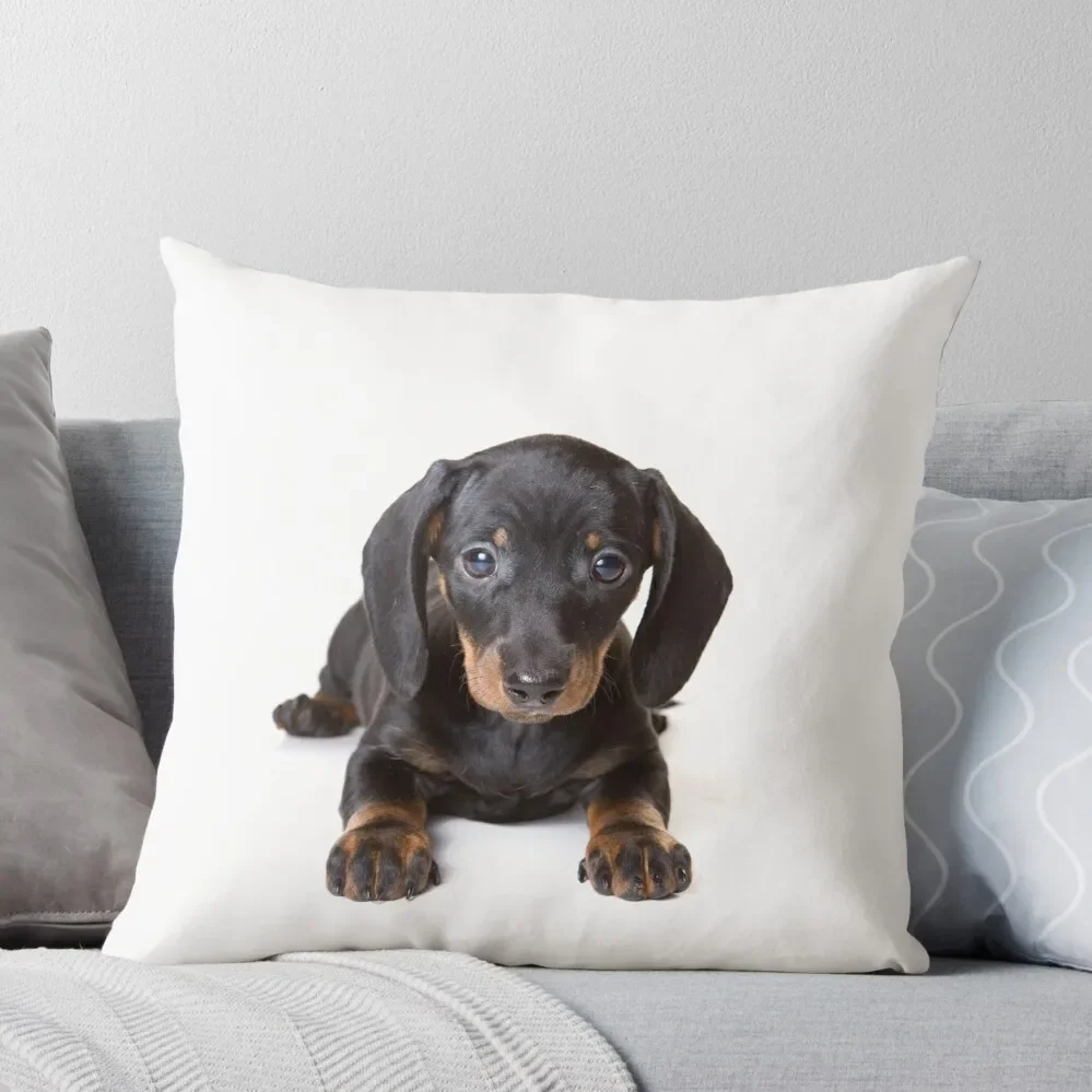 

Charming cute dachshund puppy dog Throw Pillow Pillowcases For Pillows Cushions For Decorative Sofa home decor items