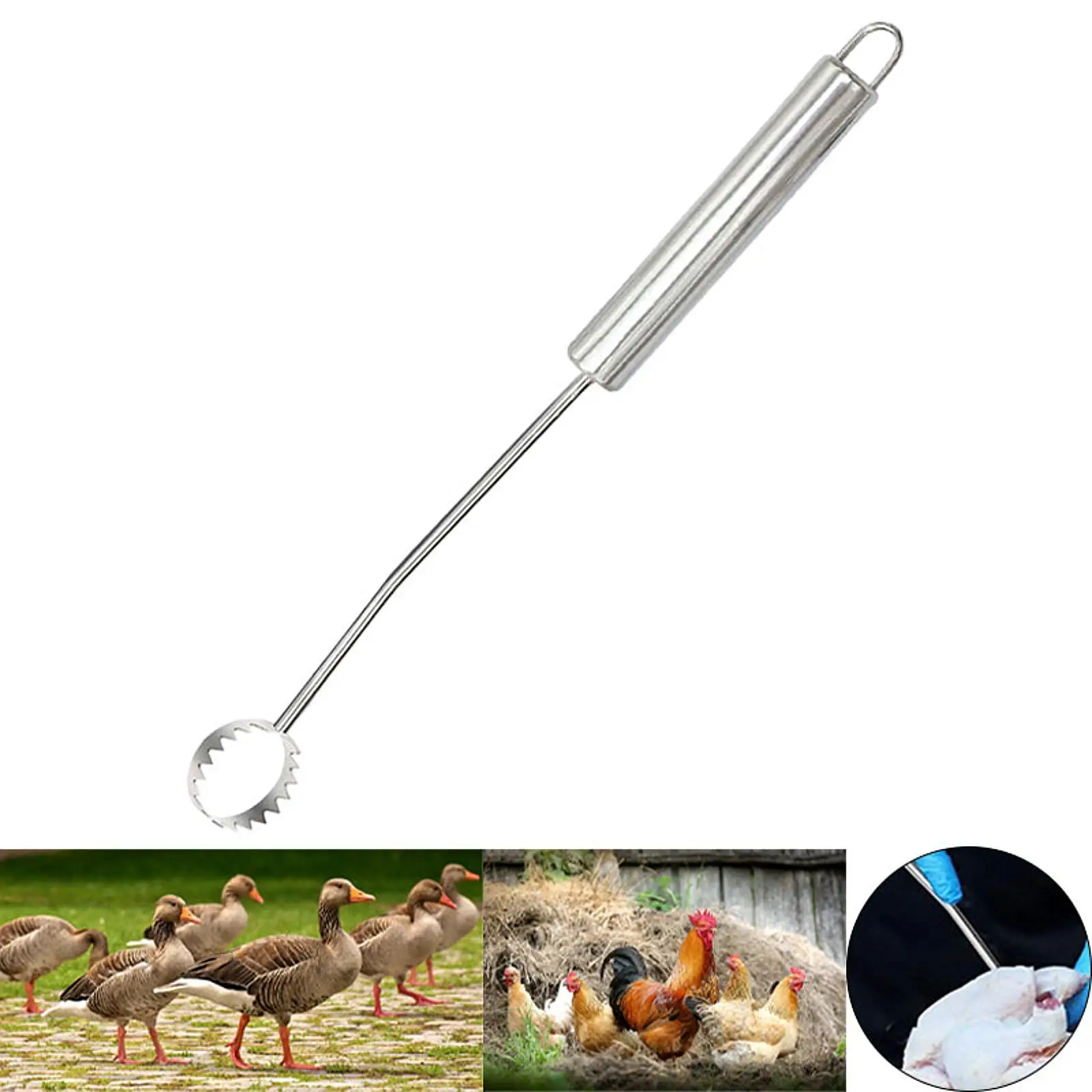 Efficient Lung Gutting Tool for Turkey Internal Poultry Cleaning Tool Easily Removes Turkey Chicken Processing Equipment