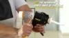 Caulking Gun (5 Pcs) - Anti Drip Extreme-Duty Caulking Gun - Patented New and Innovative Design - Lightweight ABS Frame 5