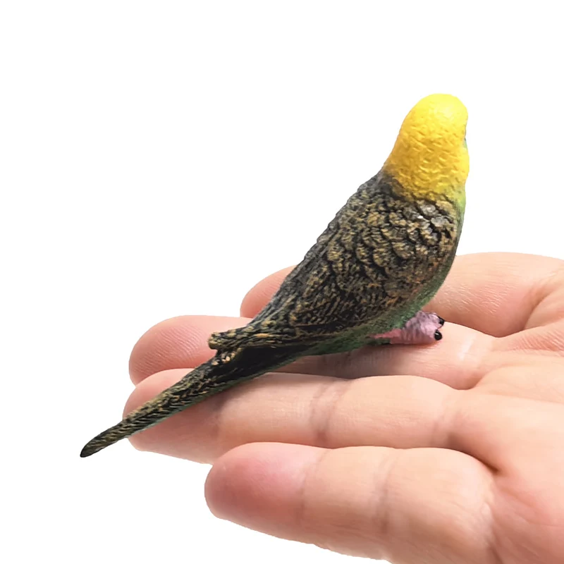 Mini süße simulierte Papagei Kinder Ornament Spielzeug Tier Modell PVC Kunststoff Handwerk Ornament Zoo künstliche Vogel Statue Hause – Detail 15
