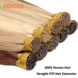 Straight ITIP Hair Extension Human Hair HDWIGS 100% Natural Human Hair 50pcs Per Set Human Fusion Hair Keratin Capsule for Women
