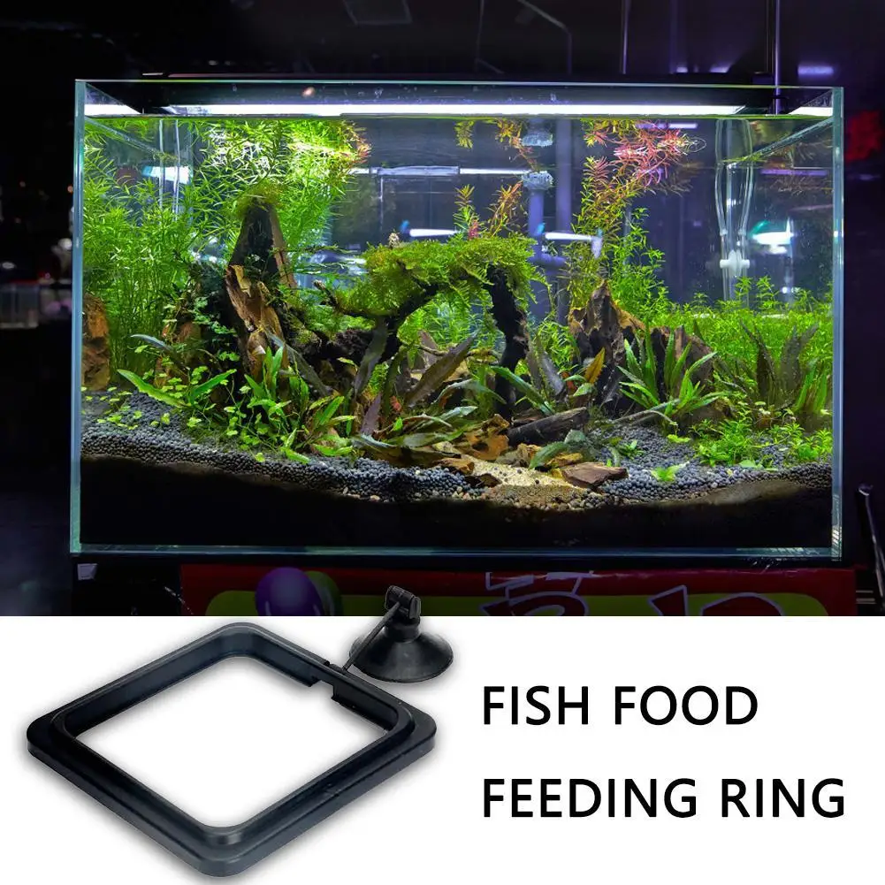 Aquarium Feeding Ring Fish Tank Station Floating Food Tray Feeder Square Circle Accessory Fish Food Suction Cup Black
