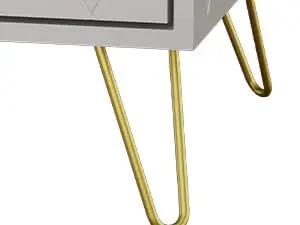 leg