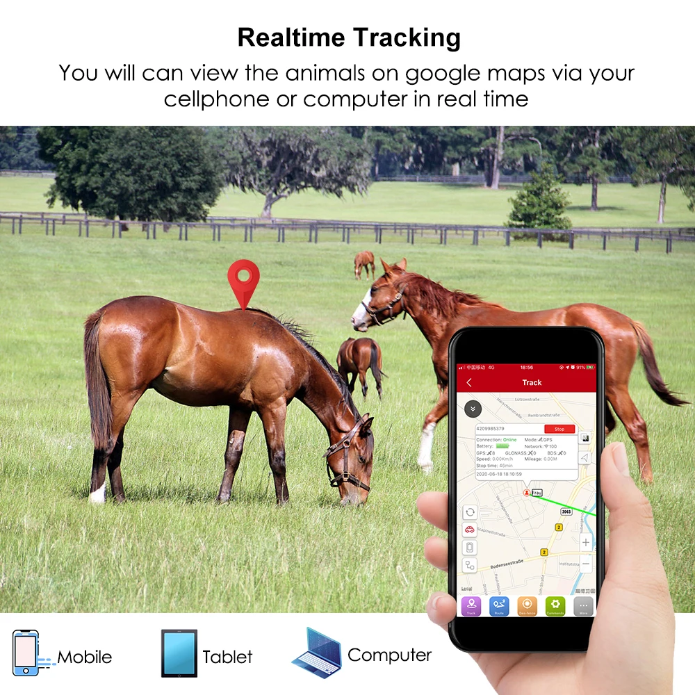 MiCODUS GPS Dog Tracking Device ML935 for Horse Cow Hound 3000mAh Microphone Dog GPS Tracker Geo-fence Free APP PK TKSTAR TK905