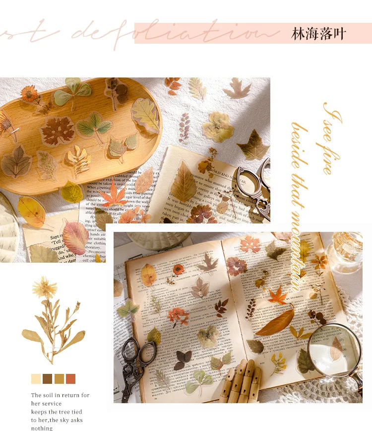 Flower Language Kawaii Sticker 16