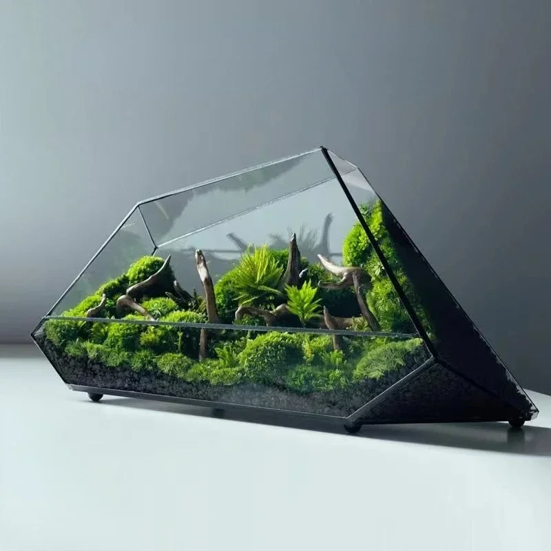 Micro Landscape Glass Vase Rainforest Terrarium Moss Planter Eco Vase Home Decor Geometric Glass Flower Room Hydroponic Vase
